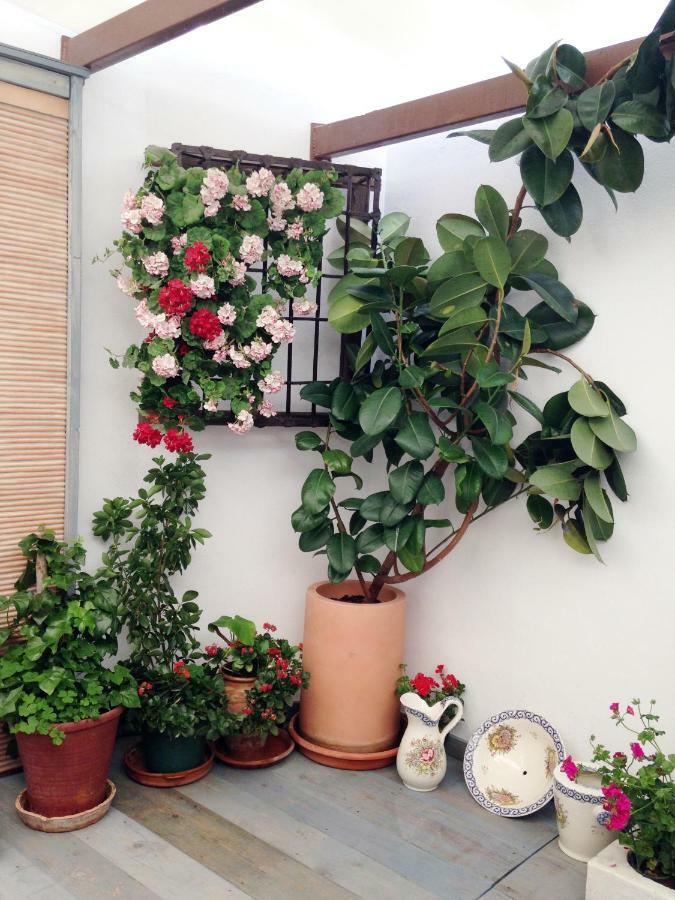 Patio San Lorenzo Cordoue Extérieur photo